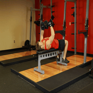Animated demo of the dumbbell fly exercise